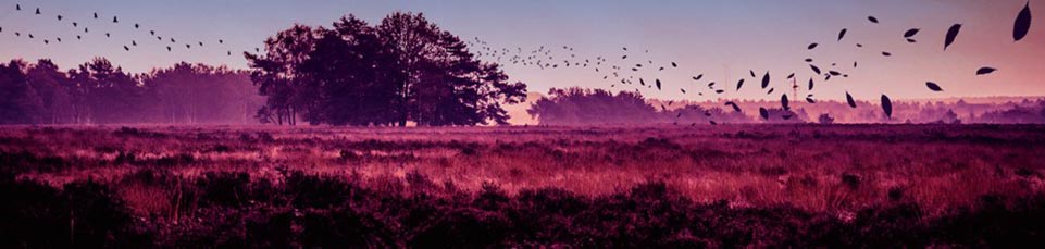 Overture - A mezz'aria sul tempo