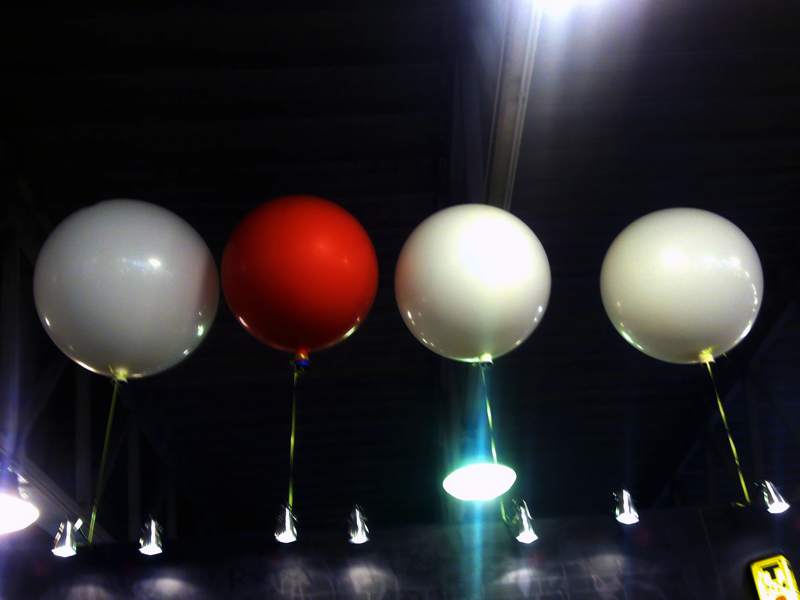 Dapp - Corporate identity