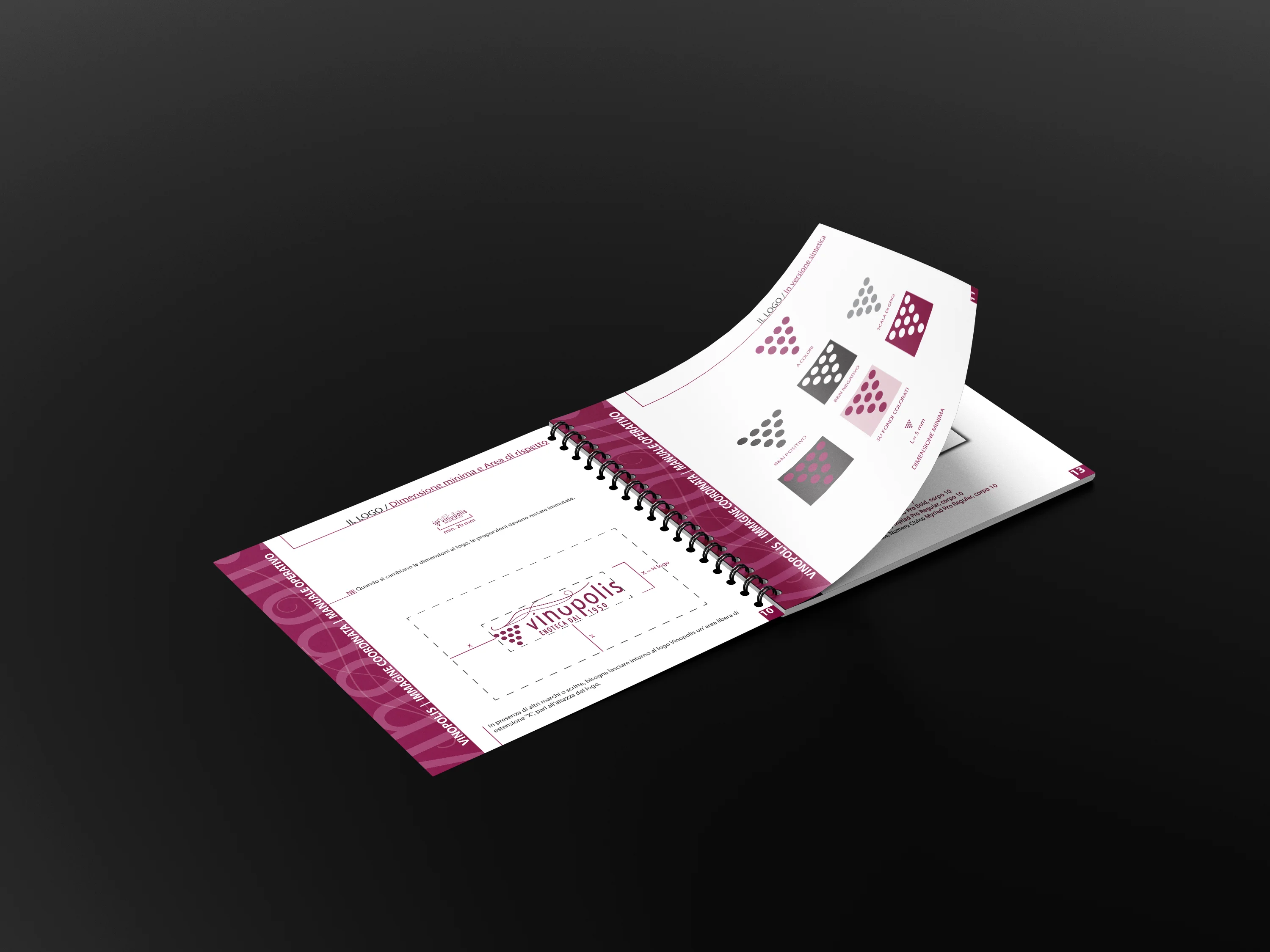 Vinopolis - Manuale operativo