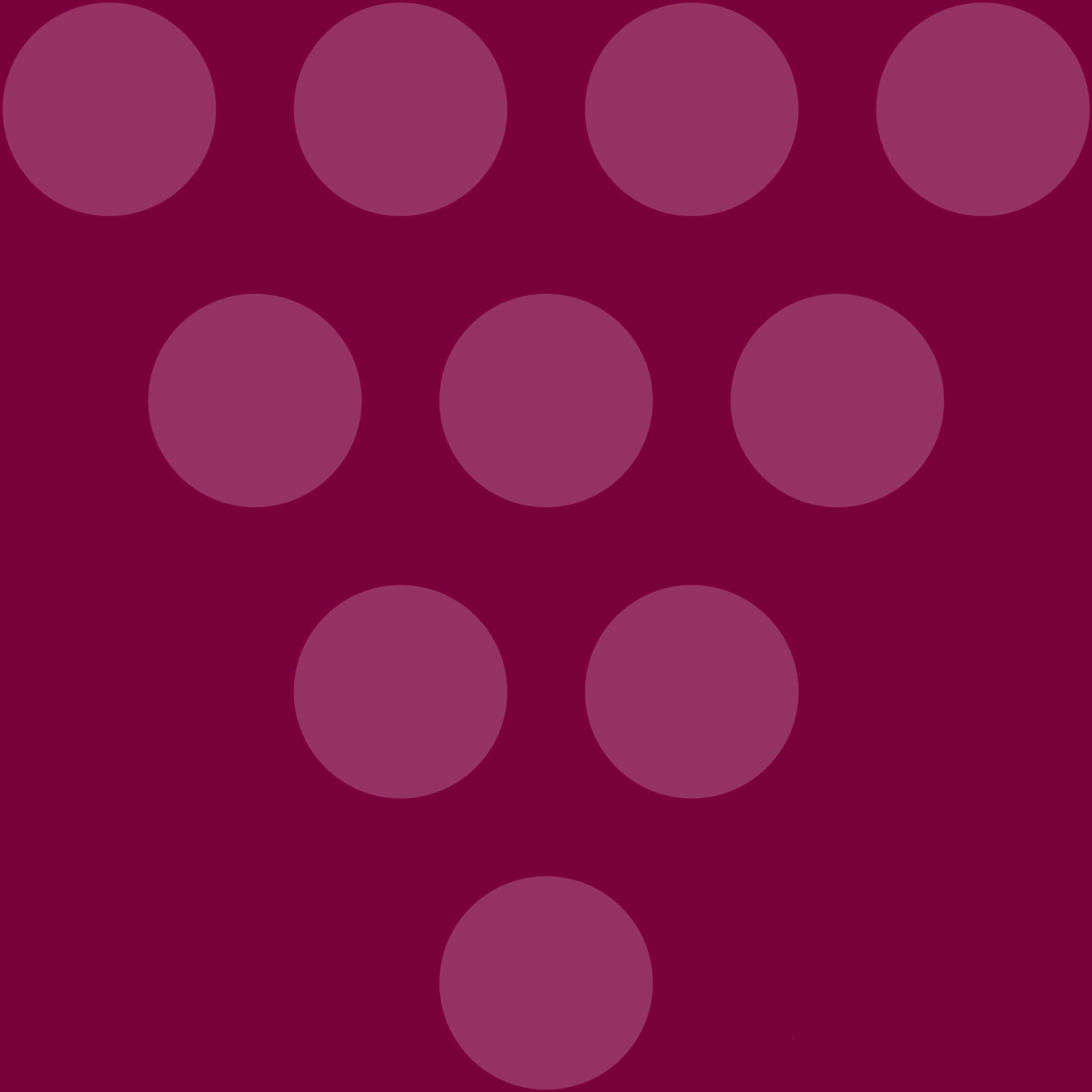 Brand guidelines booklet cover for *Vinopolis*, a wine shop