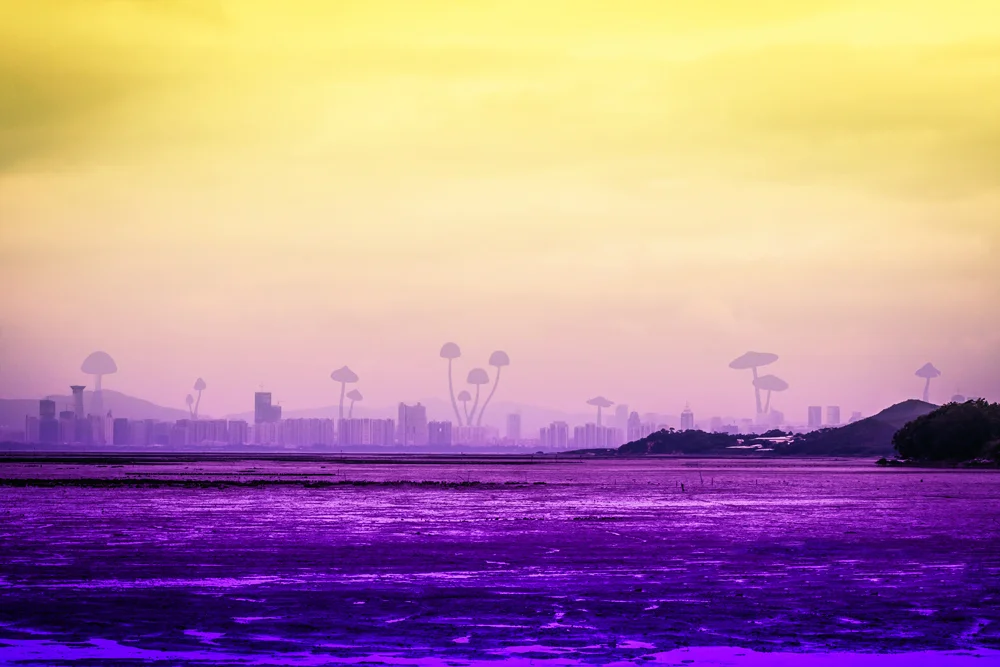 Album booklet concept artwork n.2 for *Next Star* by Outerkind, a progressive rock band