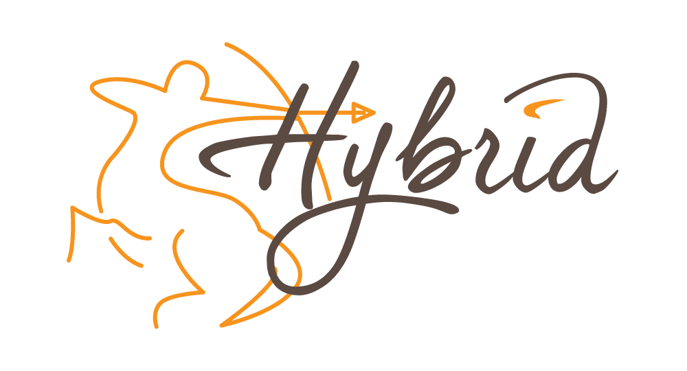 Hybrid - Logo - Early concept artwork