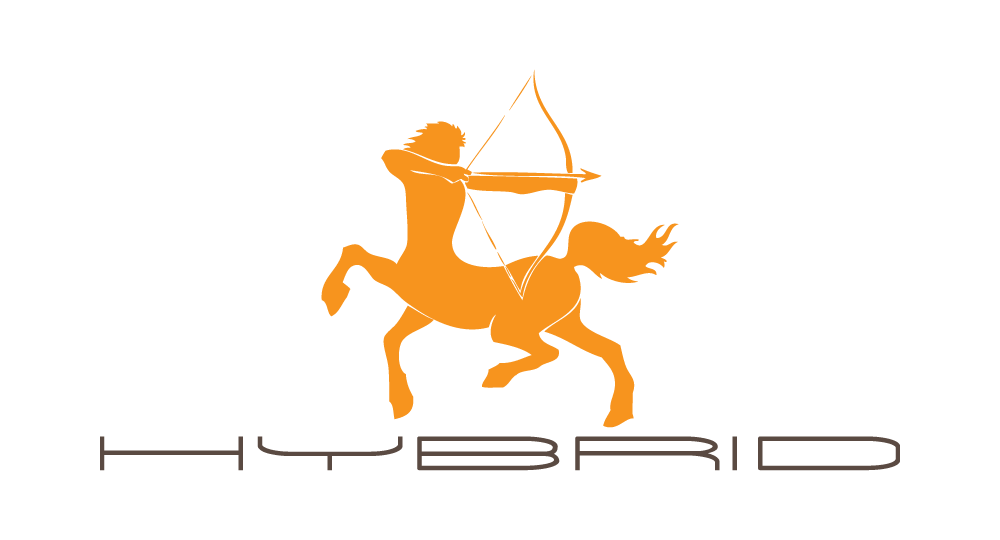 Hybrid - Logo - Early concept artwork