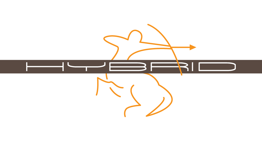 Hybrid - Logo - Early concept artwork