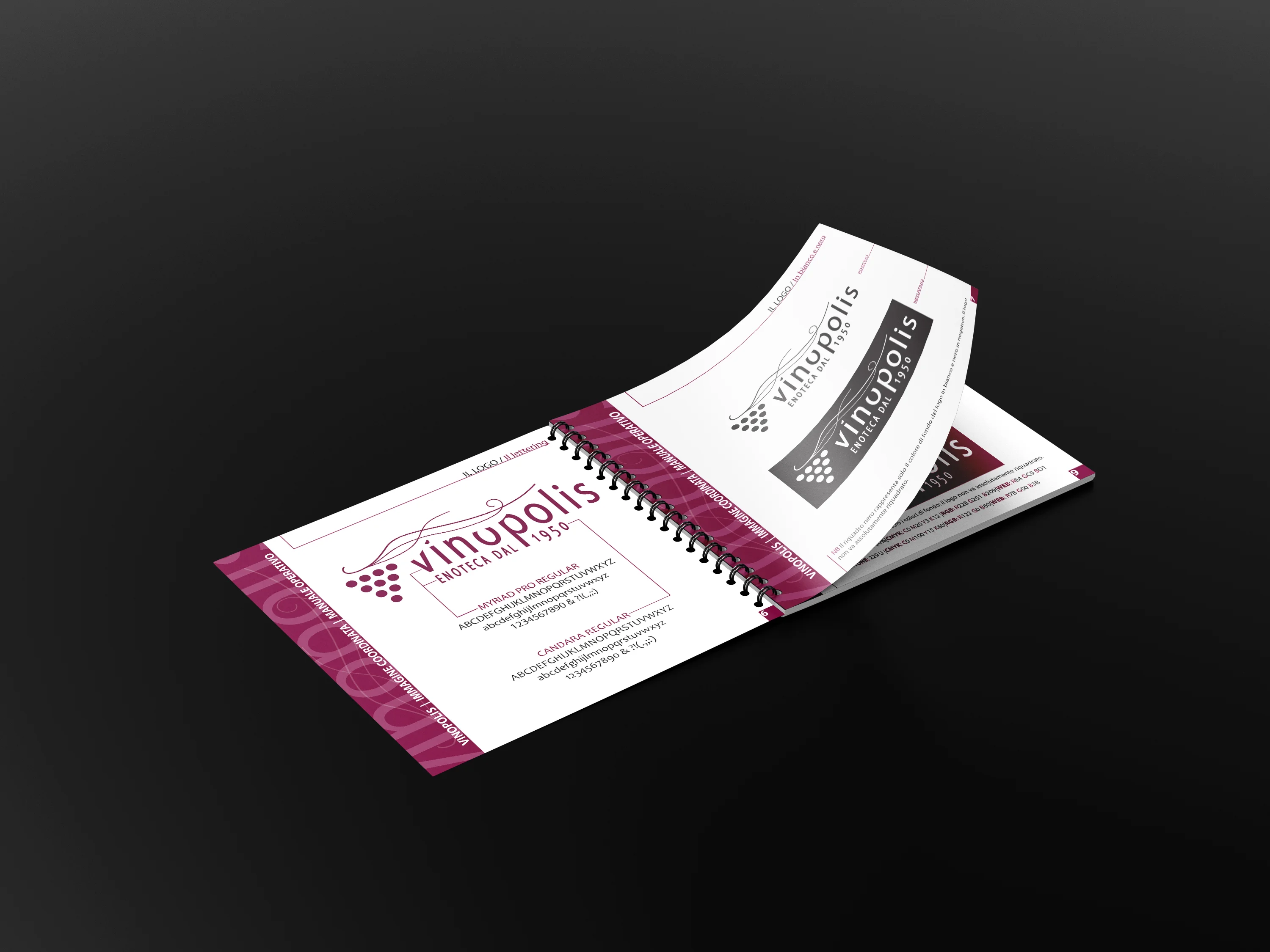 Vinopolis - Brand guidelines booklet